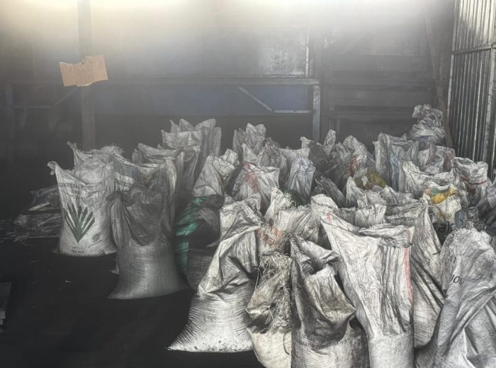 whatsapp image 2025 08 17 at 17.17.20 (1)