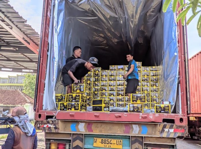 whatsapp image 2025 08 17 at 17.18.12